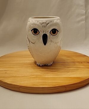 Warner Bros. Harry Potter Hedwig Owl Ceramic Mug.